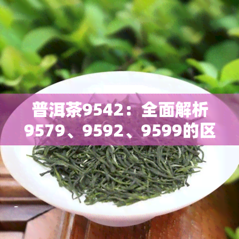 普洱茶9542：全面解析9579、9592、9599的区别与含义