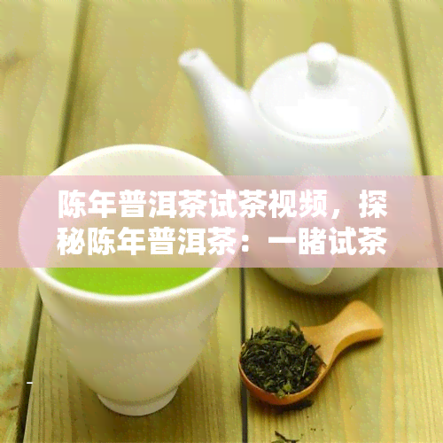 陈年普洱茶试茶视频，探秘陈年普洱茶：一试茶全过程的精彩视频