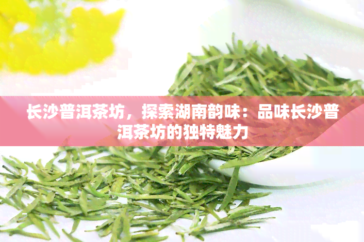 长沙普洱茶坊，探索湖南韵味：品味长沙普洱茶坊的独特魅力