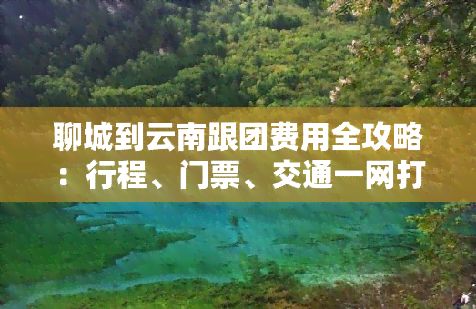 聊城到云南跟团费用全攻略：行程、门票、交通一网打尽！