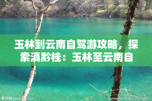 玉林到云南自驾游攻略，探索滇黔桂：玉林至云南自驾游全攻略