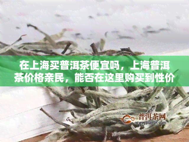 在上海买普洱茶便宜吗，上海普洱茶价格亲民，能否在这里购买到性价比高的茶叶？