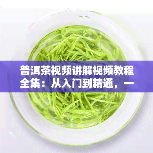 普洱茶视频讲解视频教程全集：从入门到精通，一应俱全！