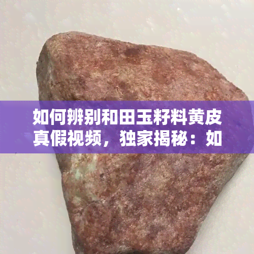 如何辨别和田玉籽料黄皮真假视频，独家揭秘：如何准确鉴别和田玉籽料黄皮的真伪？看这一视频就知道！