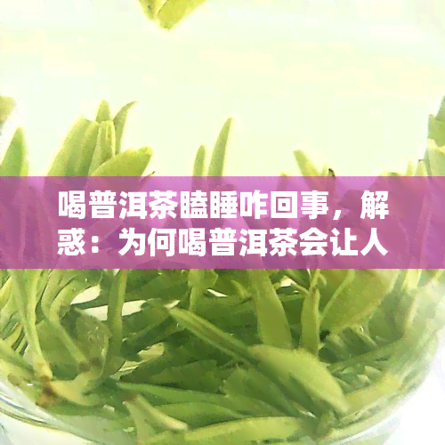 喝普洱茶瞌睡咋回事，解惑：为何喝普洱茶会让人感到瞌睡？