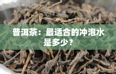 普洱茶：最适合的冲泡水是多少？