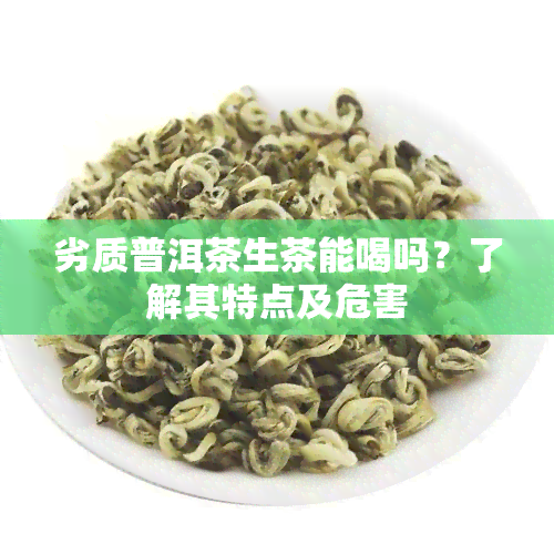 劣质普洱茶生茶能喝吗？了解其特点及危害