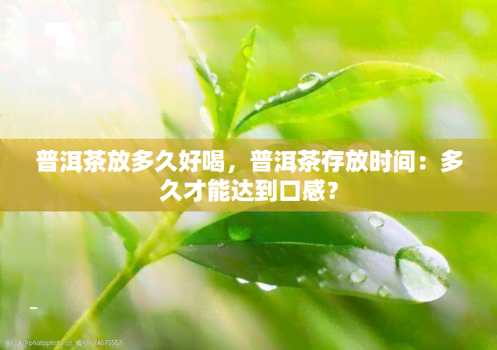 普洱茶放多久好喝，普洱茶存放时间：多久才能达到口感？