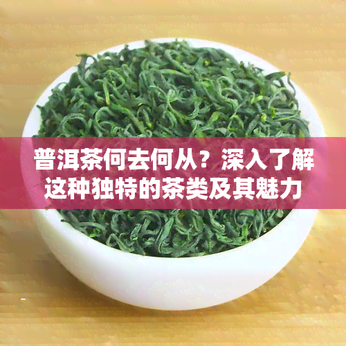 普洱茶何去何从？深入了解这种独特的茶类及其魅力