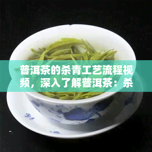 普洱茶的杀青工艺流程视频，深入了解普洱茶：杀青工艺全程解析视频