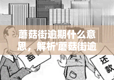 蘑菇街逾期什么意思，解析'蘑菇街逾期'：含义及可能的后果