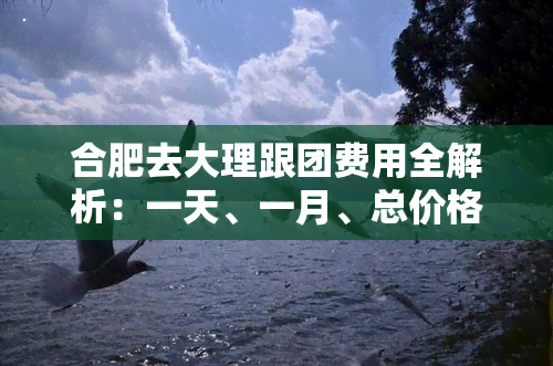 合肥去大理跟团费用全解析：一天、一月、总价格，游玩攻略与自驾游时间