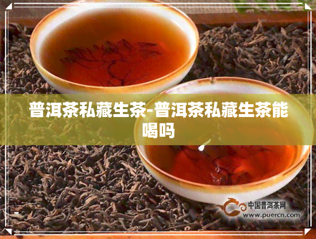 普洱茶私藏生茶-普洱茶私藏生茶能喝吗