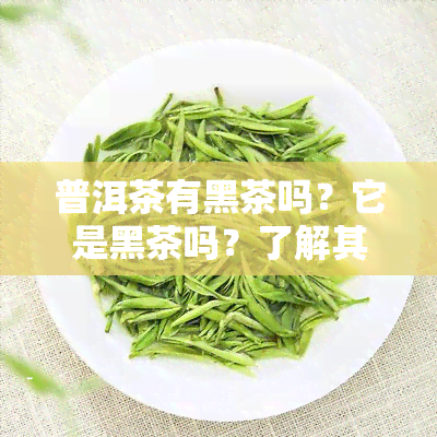 普洱茶有黑茶吗？它是黑茶吗？了解其功效与正确冲泡方法