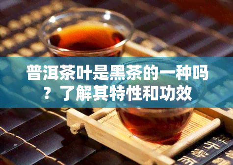 普洱茶叶是黑茶的一种吗？了解其特性和功效