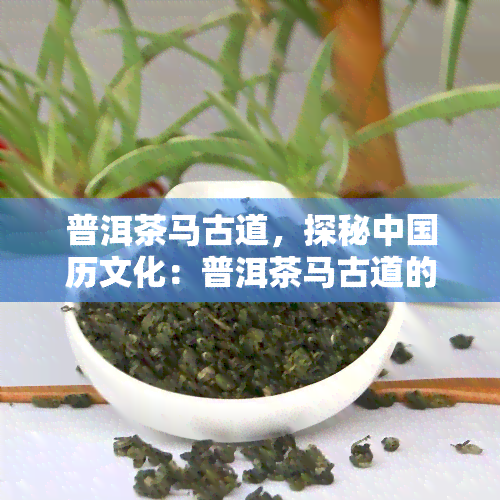 普洱茶马古道，探秘中国历文化：普洱茶马古道的传奇故事