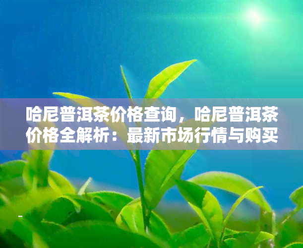 哈尼普洱茶价格查询，哈尼普洱茶价格全解析：最新市场行情与购买指南