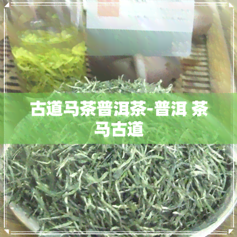 古道马茶普洱茶-普洱 茶马古道