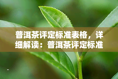 普洱茶评定标准表格，详细解读：普洱茶评定标准表格