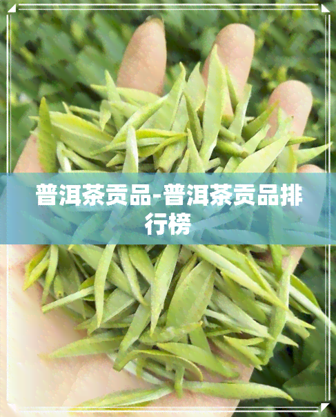 普洱茶贡品-普洱茶贡品排行榜