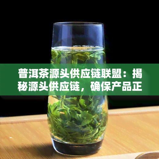 普洱茶源头供应链联盟：揭秘源头供应链，确保产品正品！