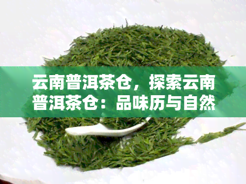 云南普洱茶仓，探索云南普洱茶仓：品味历与自然的完美结合