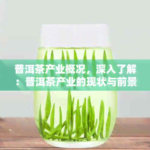 普洱茶产业概况，深入了解：普洱茶产业的现状与前景