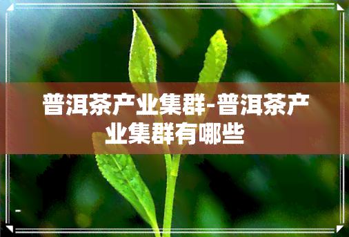 普洱茶产业集群-普洱茶产业集群有哪些