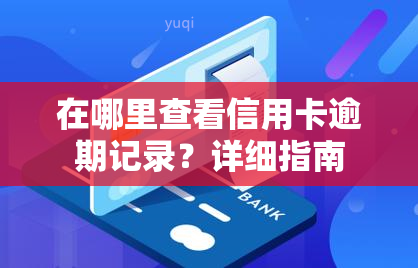 在哪里查看信用卡逾期记录？详细指南