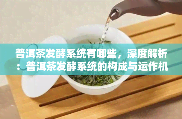 普洱茶发酵系统有哪些，深度解析：普洱茶发酵系统的构成与运作机制