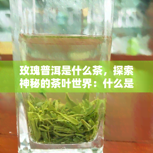 玫瑰普洱是什么茶，探索神秘的茶叶世界：什么是玫瑰普洱茶？