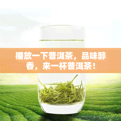 播放一下普洱茶，品味醇香，来一杯普洱茶！