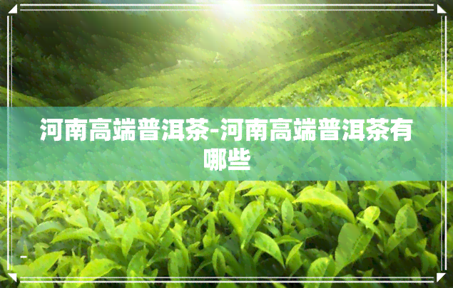 河南高端普洱茶-河南高端普洱茶有哪些