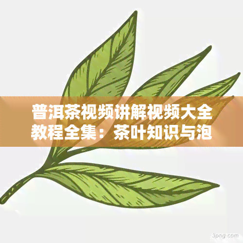 普洱茶视频讲解视频大全教程全集：茶叶知识与泡法技艺