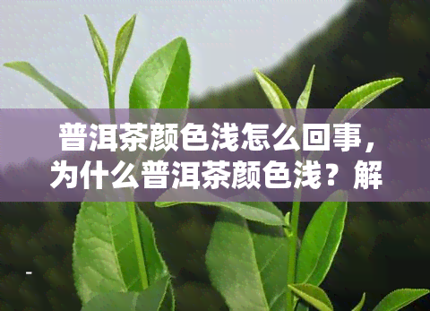 普洱茶颜色浅怎么回事，为什么普洱茶颜色浅？解析其可能的原因