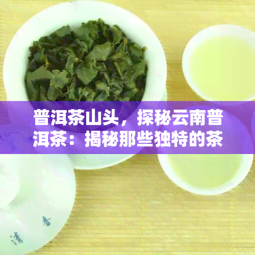 普洱茶山头，探秘云南普洱茶：揭秘那些独特的茶山头