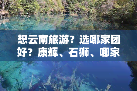 想云南旅游？选哪家团好？康辉、石狮、哪家强？必去景点有哪些？全在这！