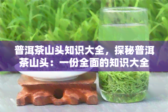 普洱茶山头知识大全，探秘普洱茶山头：一份全面的知识大全