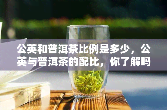 公英和普洱茶比例是多少，公英与普洱茶的配比，你了解吗？