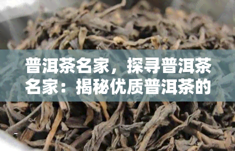 普洱茶名家，探寻普洱茶名家：揭秘优质普洱茶的制作工艺和品尝技巧