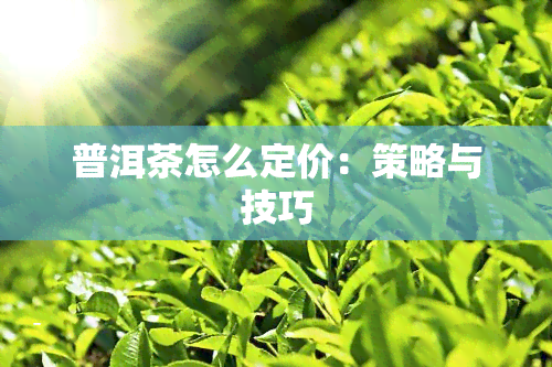 普洱茶怎么定价：策略与技巧