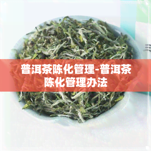 普洱茶陈化管理-普洱茶陈化管理办法