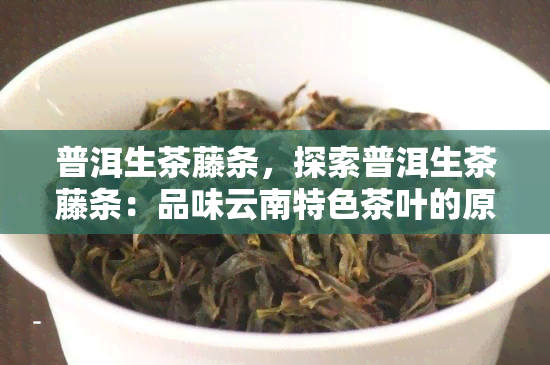 普洱生茶藤条，探索普洱生茶藤条：品味云南特色茶叶的原始风味