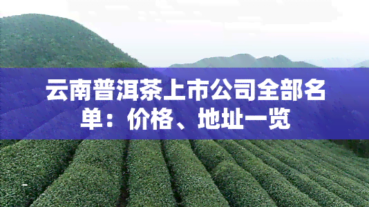 云南普洱茶上市公司全部名单：价格、地址一览