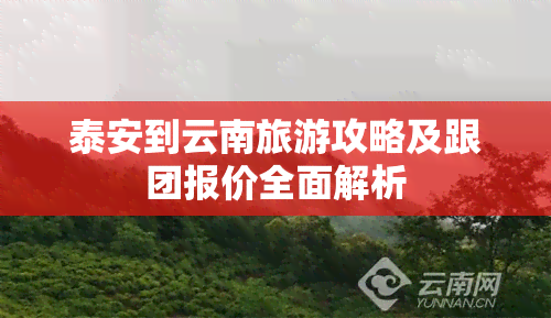 泰安到云南旅游攻略及跟团报价全面解析