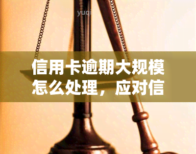 信用卡逾期大规模怎么处理，应对信用卡逾期：大规模问题的解决方案