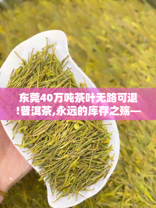 东莞40万吨茶叶无路可退!普洱茶,永远的库存之殇——莞藏普洱时代落幕