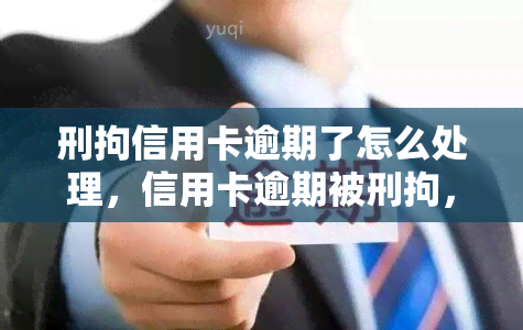 刑拘信用卡逾期了怎么处理，信用卡逾期被刑拘，如何应对？