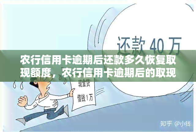 农行信用卡逾期后还款多久恢复取现额度，农行信用卡逾期后的取现额度恢复时间