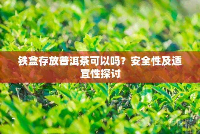 铁盒存放普洱茶可以吗？安全性及适宜性探讨